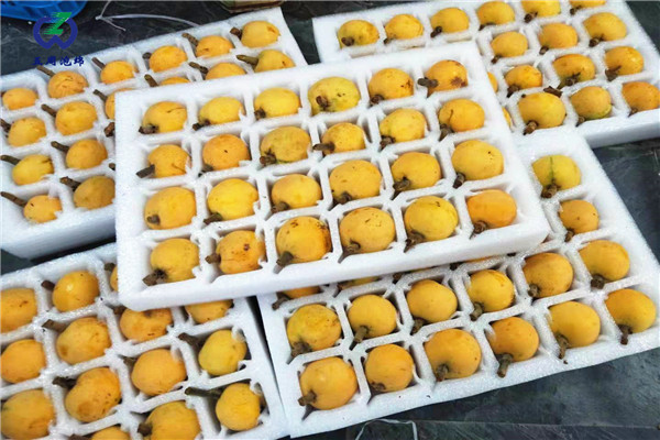 定做枇杷托的材料是環(huán)保的嗎？