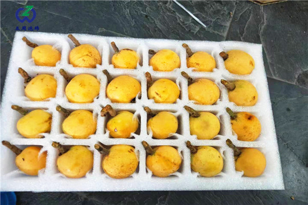 警惕：珍珠棉水果托的制作材料有毒嗎？